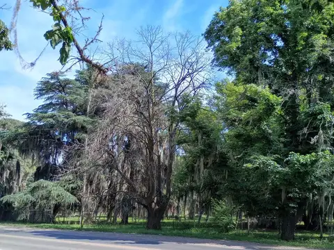 Terreno sobre Ruta 9