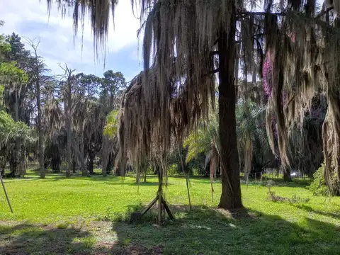 Terreno en Venta 31  mts Fondo