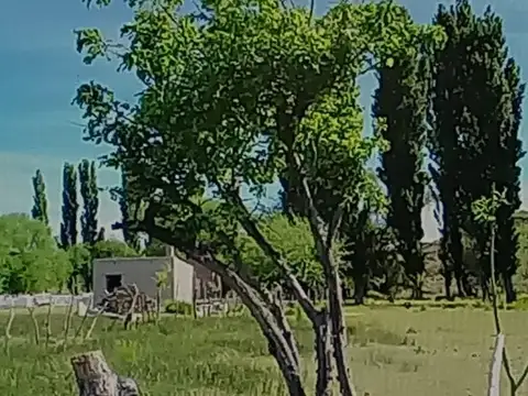 EXCELENTE ESTANCIA DE 13.736 Ha, A 50 KM DE RAMOS MEXIA, RIO NEGRO