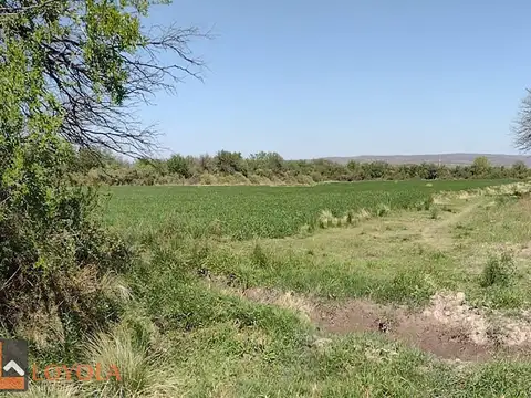 Campo en Venta Agrícola