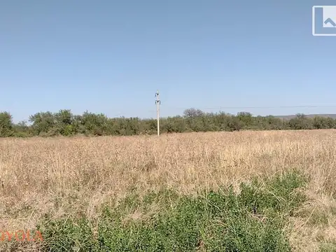 171 Hectáreas con vivienda en venta en La Lomita, San Luis