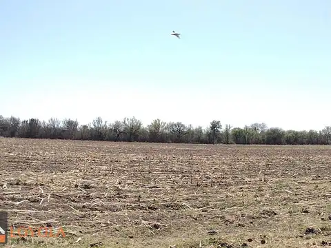 Campo en Venta de 171  ha