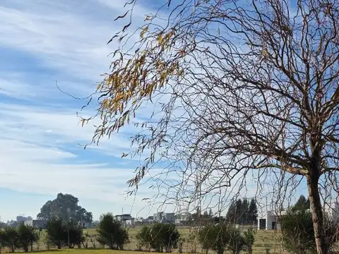 Casa en Alquiler de 5 dormitorios