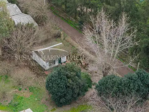 Terreno de 2ha en Exaltacion de la Cruz