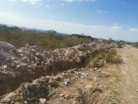 LOTE LA MAGDALENA OLIVAR