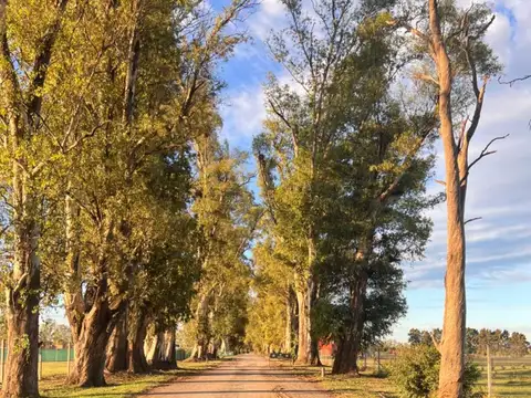 Terreno en Venta de 1056,0 m2