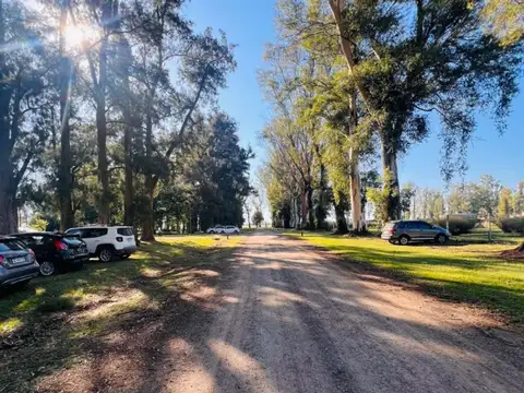 Terreno en Venta en Los Tres Pinos, USD 30.000