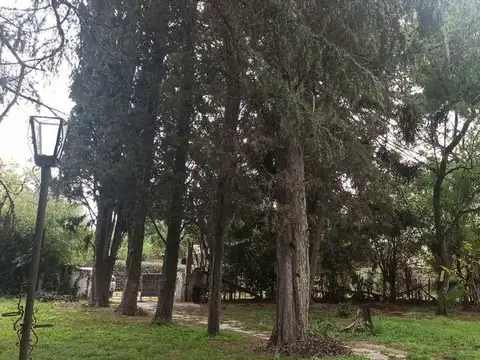 Calle 40 5300