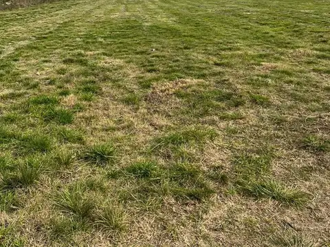 Terreno en Venta 25  mts Fondo