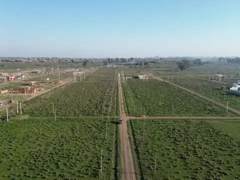 Terreno en Venta de 200,0 m2