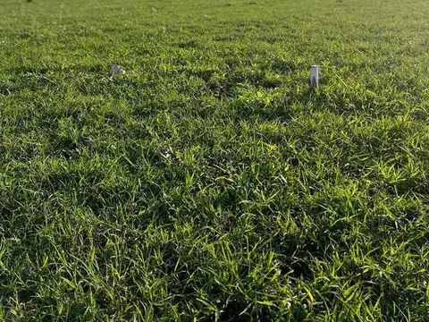 Terreno en Venta en La Plata, USD 6.500