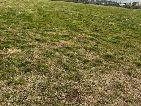 Terreno en Venta 8  mts Frente