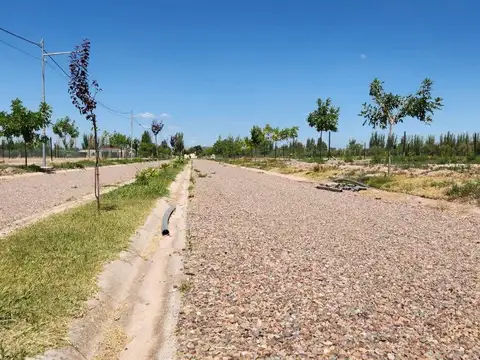 Vieytes 3300