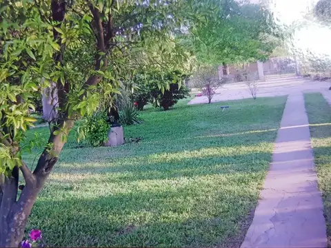 SE VENDE QUINTA EN SAUCE VIEJO 