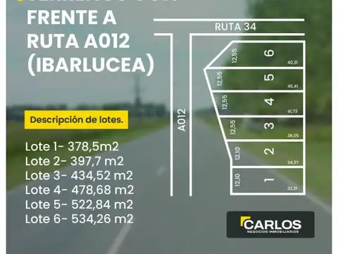 Terrenos en Ibarlucea con frentes a Ruta A012
