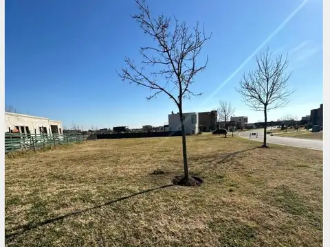 Ruta Nacional 25 6500