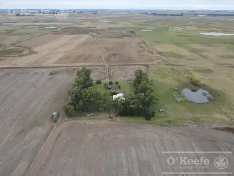 Campo mixto de 324 has de General Alvear