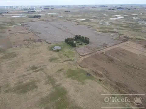 Campo en venta de 324 has de General Alvear