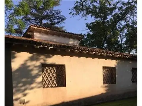 Av De Mayo 100