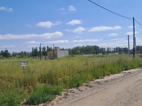 Lote 250mts - Servicio de luz y agua - China muert