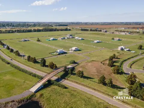 Los Pasos del Jockey 4