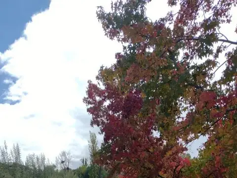 Almirante Brown 5300