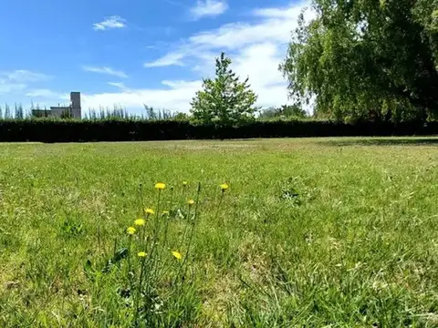 Almirante Brown 5300