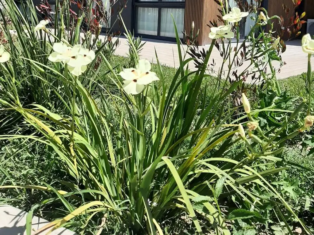 FAIR GREEN - Foto 13