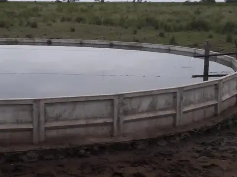 Campo Ganadero Trabajando