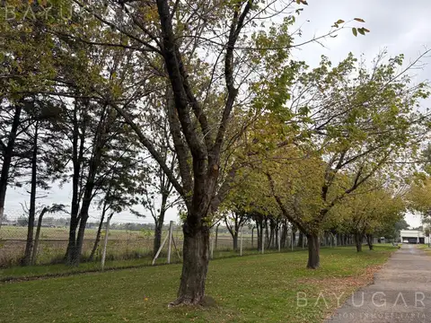 Venta Lote - Barrio La Reserva de Pilar - Ruta 28 y calle Las Truchas