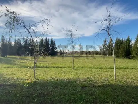 Ruta 2 Km 76, Ecobarrio 300, Piso 0