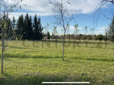 Terreno en Venta de 1000,0 m2