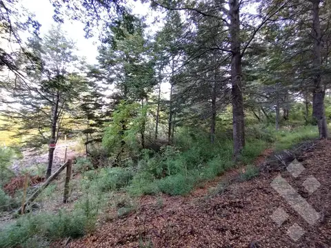Terreno en Venta en Caleuche, USD 19.000