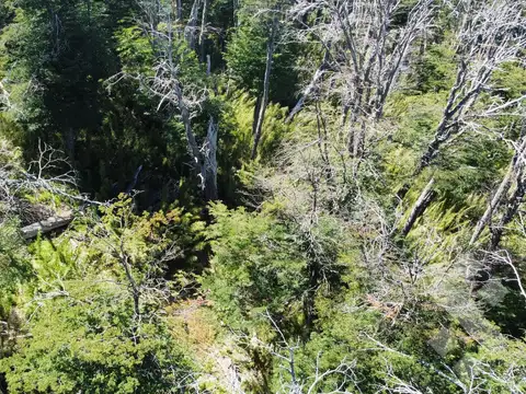 VENTA TERRENO 600 M2 - KALEUCHE - SAN MARTIN DE LOS ANDES - NEUQUEN
