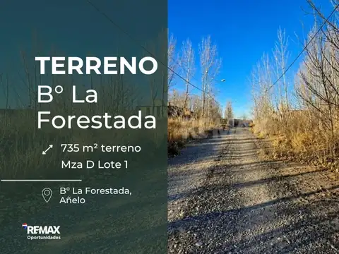 TERRENO EN VENTA, LA FORESTADA, AÑELO.