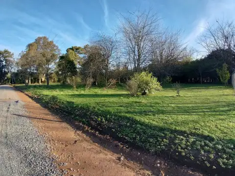 Terreno en Venta en San Eduardo  - Lujan, USD 29.000