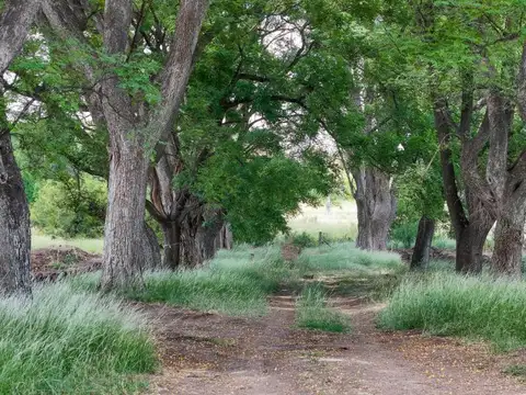 Terreno en Venta en Presidente Derqui, USD 92.000