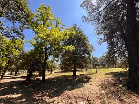 Avenida argentina 100, Piso Ave