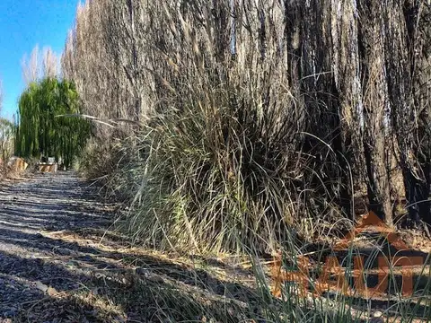 Terreno en Venta en China Muerta, USD 15.500