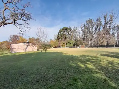 SAN LORENZO Y BELGRANO 100