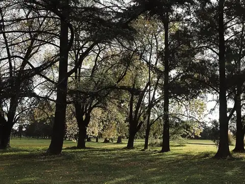 Terreno en Venta de 1049,0 m2