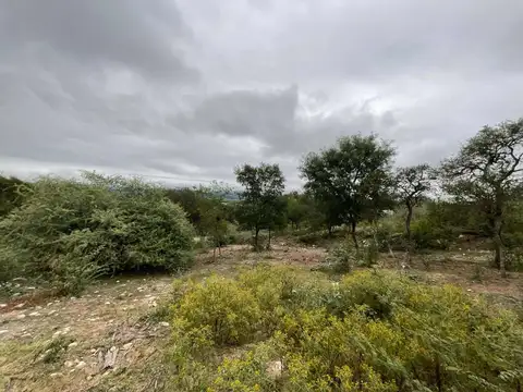 VENTA TERRENO DIQUE CABRA CORRAL 600M2 BAJADA PÚBL