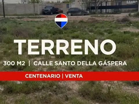 Venta terreno 300m2, centenario