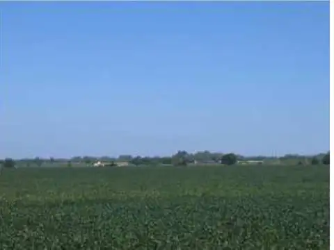 EXCELENTE CAMPO DE 50 HAS.  EN EXALTACION DE LA CRUZ- POLO