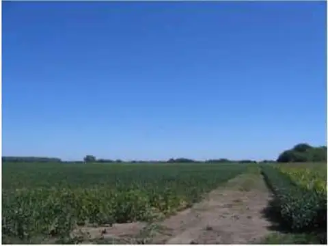 Ruta 8 77
