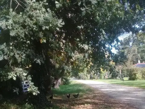 Terreno en Venta de 720,0 m2