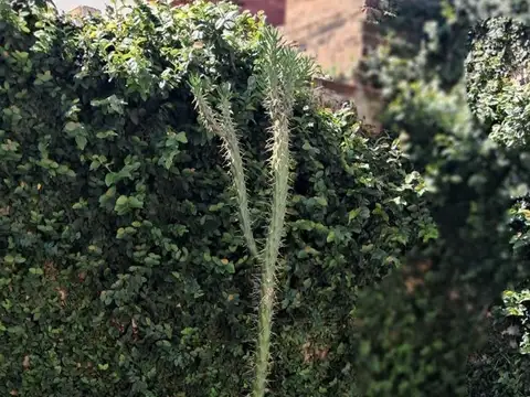 Casa en Venta 28 años