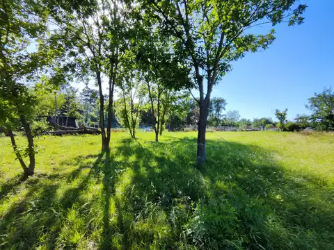 Monseñor Miguel de Andrea 2000