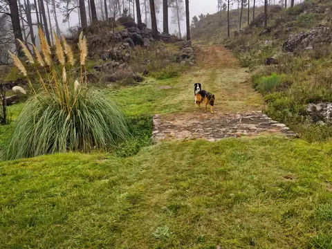 Terreno en Venta de 17403,0 m2