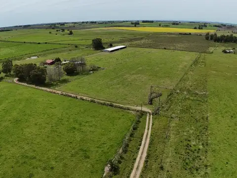 CHACRA EN VENTA - 9,6 HA - 2 CASAS - SAN JACINTO
